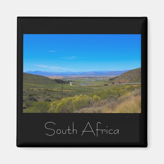 Vineyard Ligcape South Afrika SA Magnet (Framsidan)