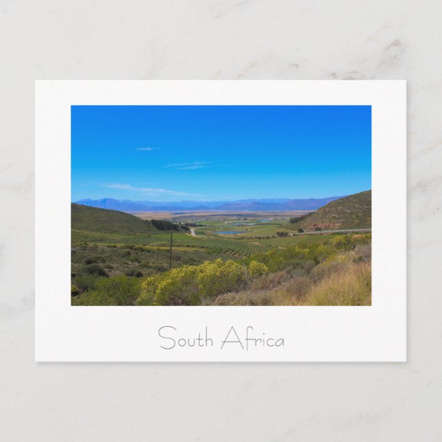 Vineyard Nature View South Afrika SA Postcard Vykort (Framsida)