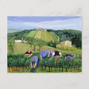 Vineyard Olife och Sunblommor Vykort