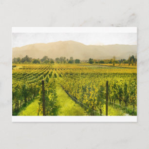 Vineyard på hösten i Napa Valley California Vykort