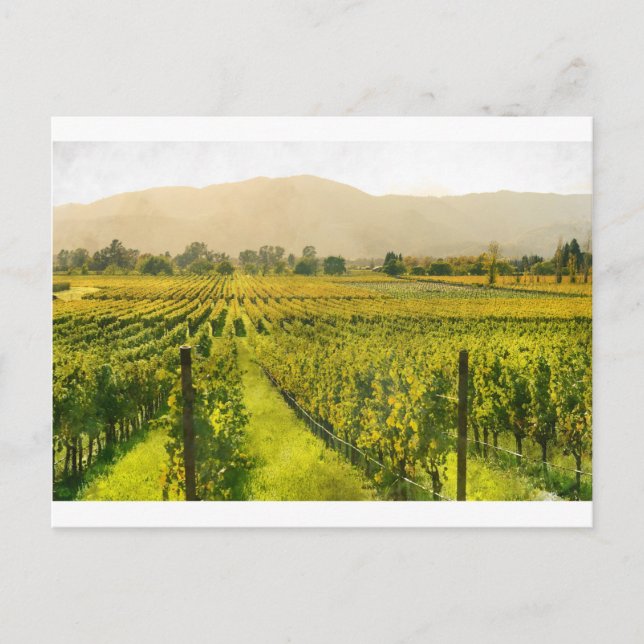 Vineyard på hösten i Napa Valley California Vykort (Framsida)