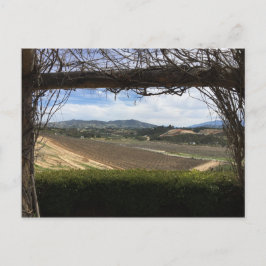 Vineyard Viewpoint Vykort