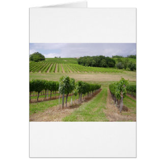 Vineyard - Vignoble (Bordeaux - France) 03 Hälsningskort