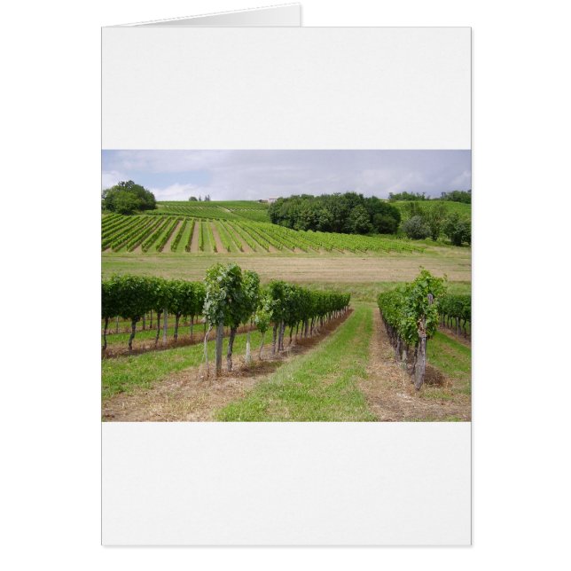 Vineyard - Vignoble (Bordeaux - France) 03 Hälsningskort (Framsidan)
