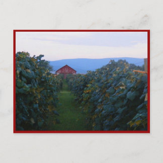 Vineyard Vykort