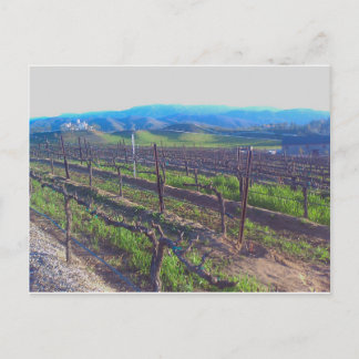 Vineyard Vykort