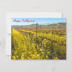 Vineyard Wildblommor Vykort