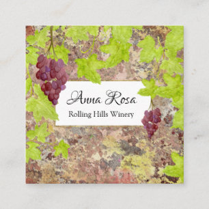 *~* Vineyard Winery Vin Cellar Vin Cluster Graph Fyrkantigt Visitkort