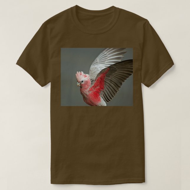 VINGAR 2 T SHIRT (Design framsida)