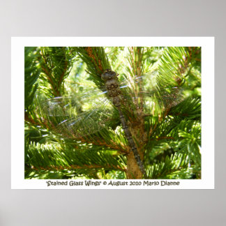 "Vingar av fastglaset Poster