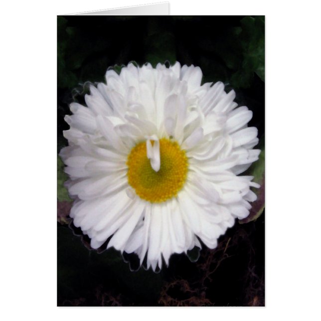 Vingar av sommaren hälsningskort (Framsidan)