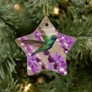 Vingar av tro Gnistrande violettöronkolibri Julgransprydnad Keramik