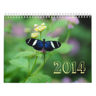 Vingar av Wondermentfjärilen Kalender