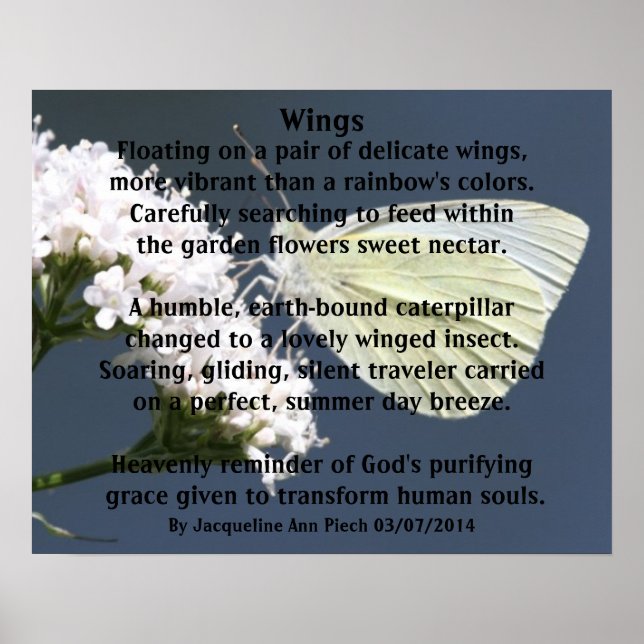"Vingar" Butterfly Poetry Poster (Framsidan)