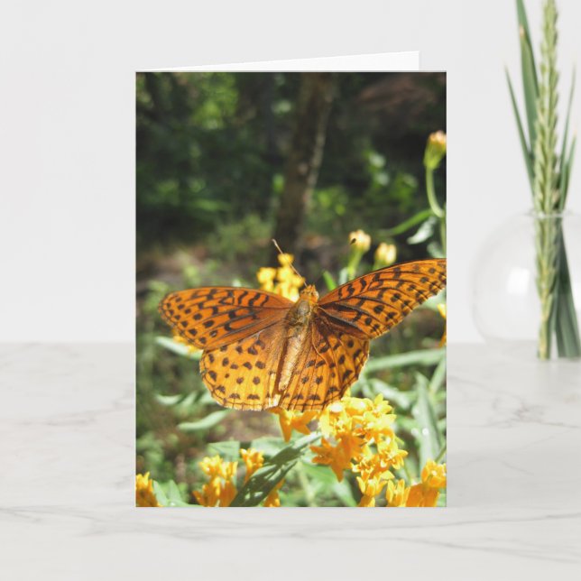 Vingar för fetma (3) kort (Framsida)