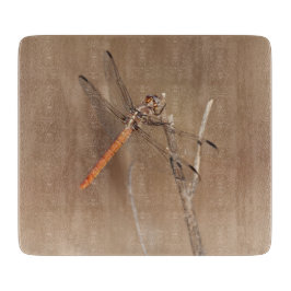 Vingar i Guld Dragonfly