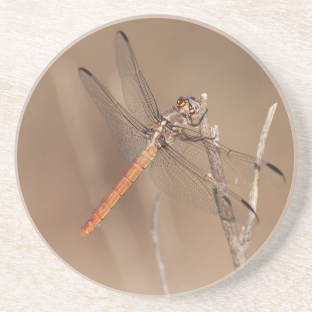 Vingar i Guld Dragonfly Underlägg (Framsidan)