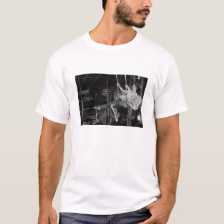 Vingar of Desire Trapieze T Shirt