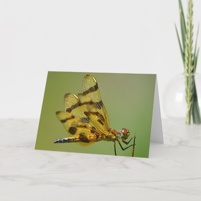 Vingar på Guld Dragonfly Note Card Kort (Framsida)
