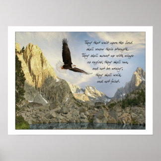 Vingar som Eagles Isaiah 40:31 Poster