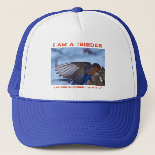 Vingar Up Östra Bluebird Birder Keps