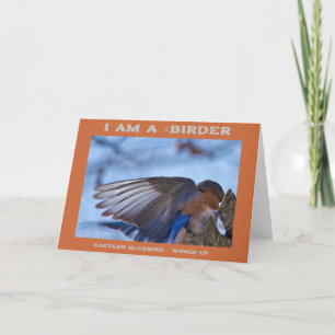Vingar Up Östra Bluebird Birder Kort