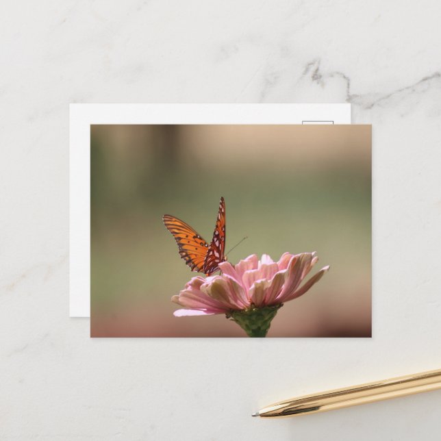 Vingar - Vykort för fjäril (Fram/Back In Situ)