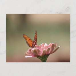 Vingar - Vykort för fjäril