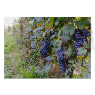 Vingård Hälsningskort