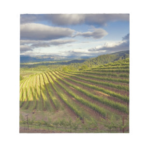 Vingård. Napa Valley. Napa. Napa County, Anteckningsblock