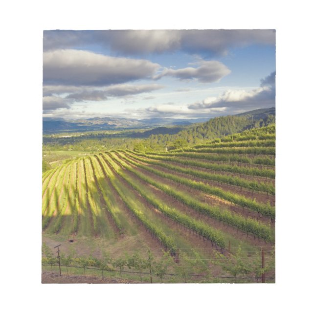 Vingård. Napa Valley. Napa. Napa County, Anteckningsblock (Framsida)