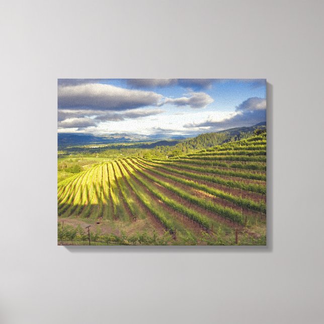 Vingård. Napa Valley. Napa. Napa County, Canvastryck (Framsida)