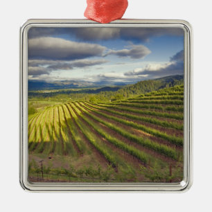 Vingård. Napa Valley. Napa. Napa County, Julgransprydnad Metall