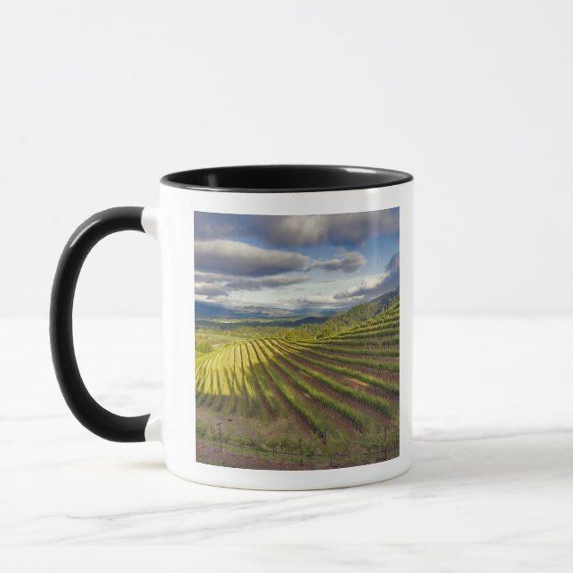 Vingård. Napa Valley. Napa. Napa County, Mugg (Vänster)