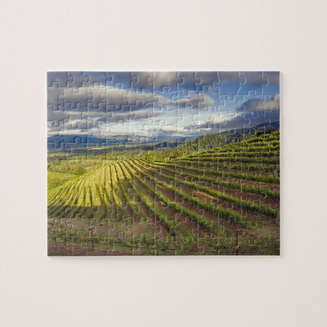 Vingård. Napa Valley. Napa. Napa County, Pussel (Horisontell)