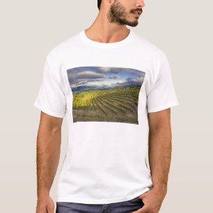 Vingård. Napa Valley. Napa. Napa County, Tee Shirt