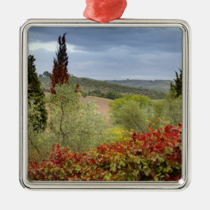 Vingård nära Montalcino, Toscana, Italien Julgransprydnad Metall
