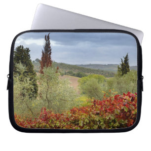 Vingård nära Montalcino, Toscana, Italien Laptop Sleeve