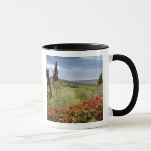 Vingård nära Montalcino, Toscana, Italien Mugg