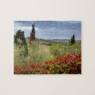 Vingård nära Montalcino, Toscana, Italien Pussel