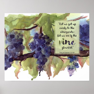 Vingård Skrift Sång Salomos Merlot Vin Poster