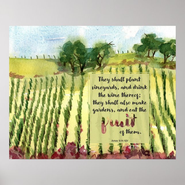 Vingård Skriftställe Amos Vin Druvor Akvarell Poster (Framsidan)