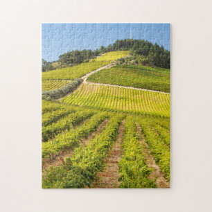 Vingård, Stellenbosch, Västra Kapprovinsen Pussel