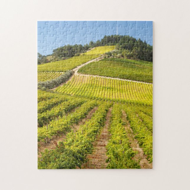 Vingård, Stellenbosch, Västra Kapprovinsen Pussel (Vertikal)
