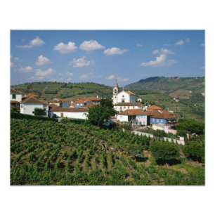 Vingårdar, byn San Miguel, Douro Fototryck