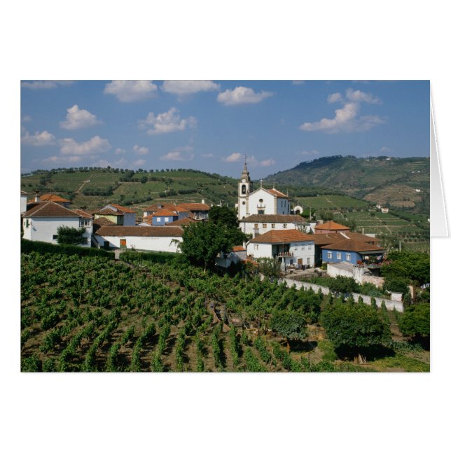 Vingårdar, byn San Miguel, Douro Hälsningskort (Framsidan Horizontal)