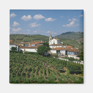 Vingårdar, byn San Miguel, Douro Magnet