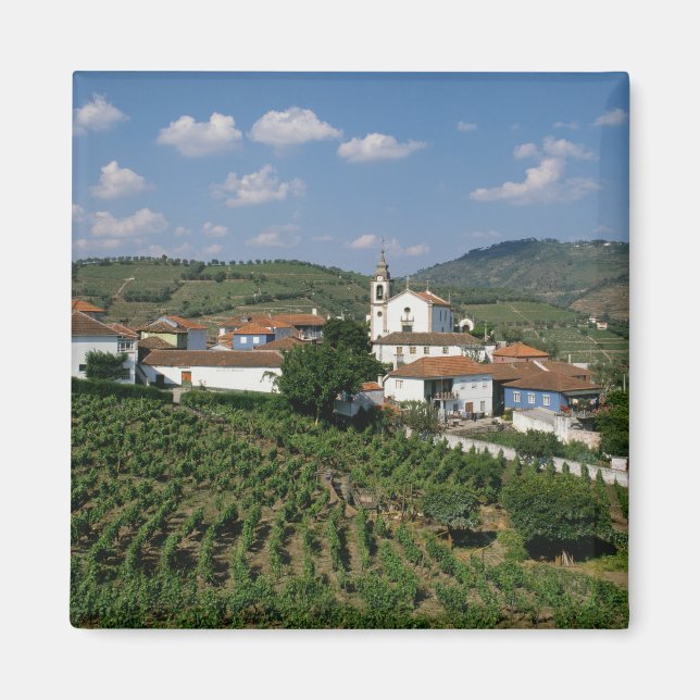 Vingårdar, byn San Miguel, Douro Magnet (Framsidan)