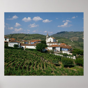 Vingårdar, byn San Miguel, Douro Poster
