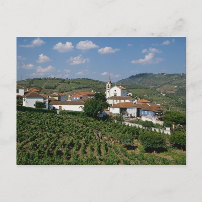 Vingårdar, byn San Miguel, Douro Vykort (Framsida)